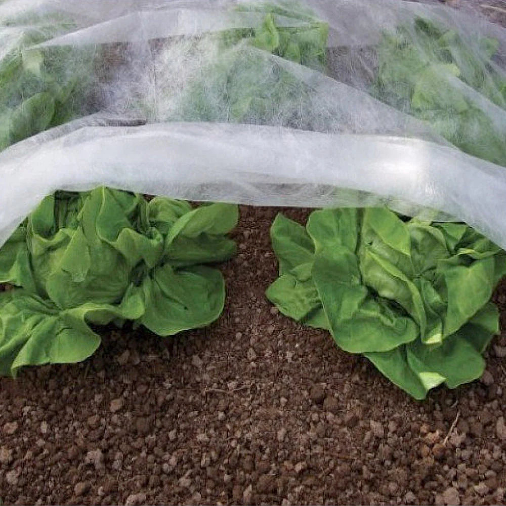 The Good Life Protection Fleece 1.6 x 10m