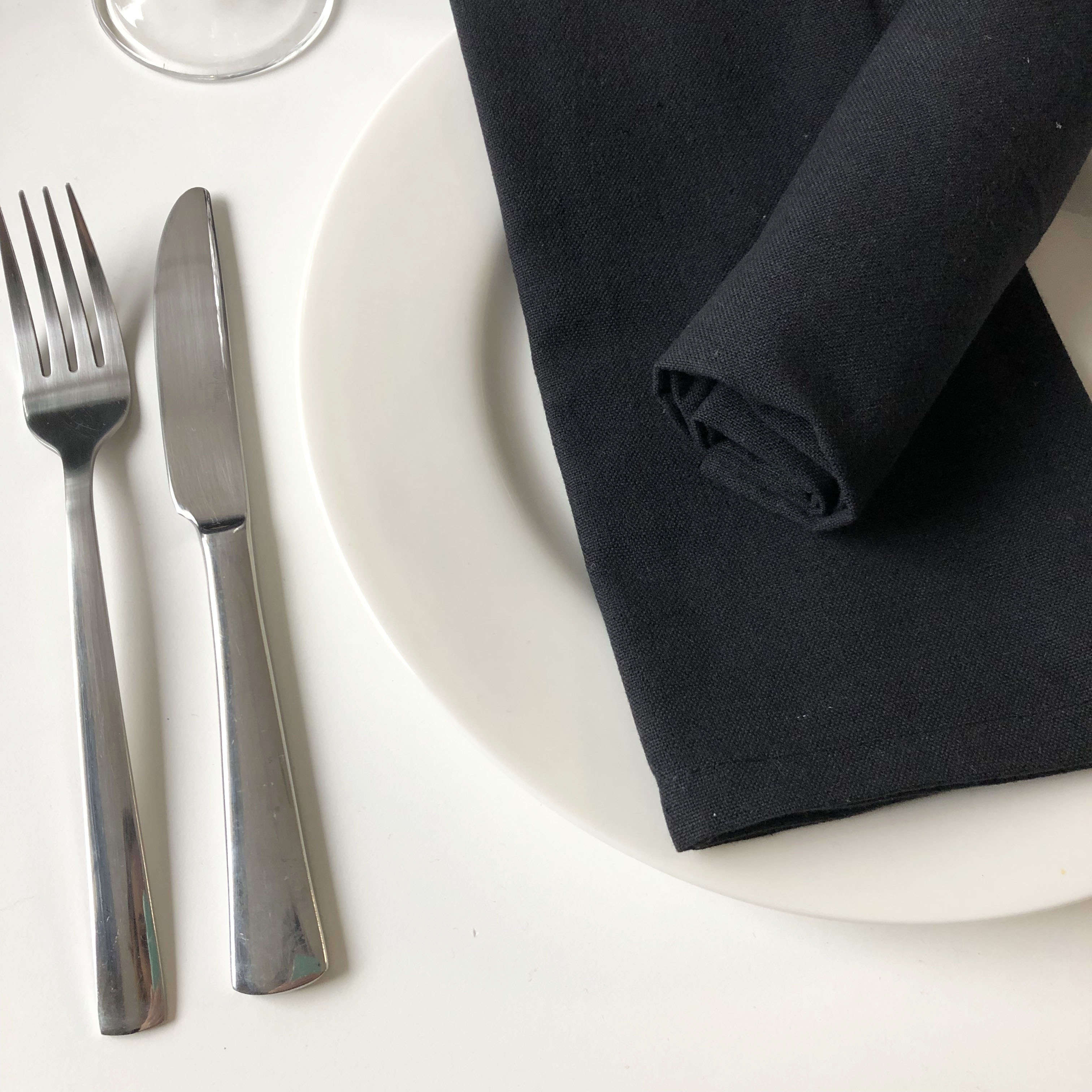 Oversized Cotton Dinner Napkins 20" x 20" - Set of 12