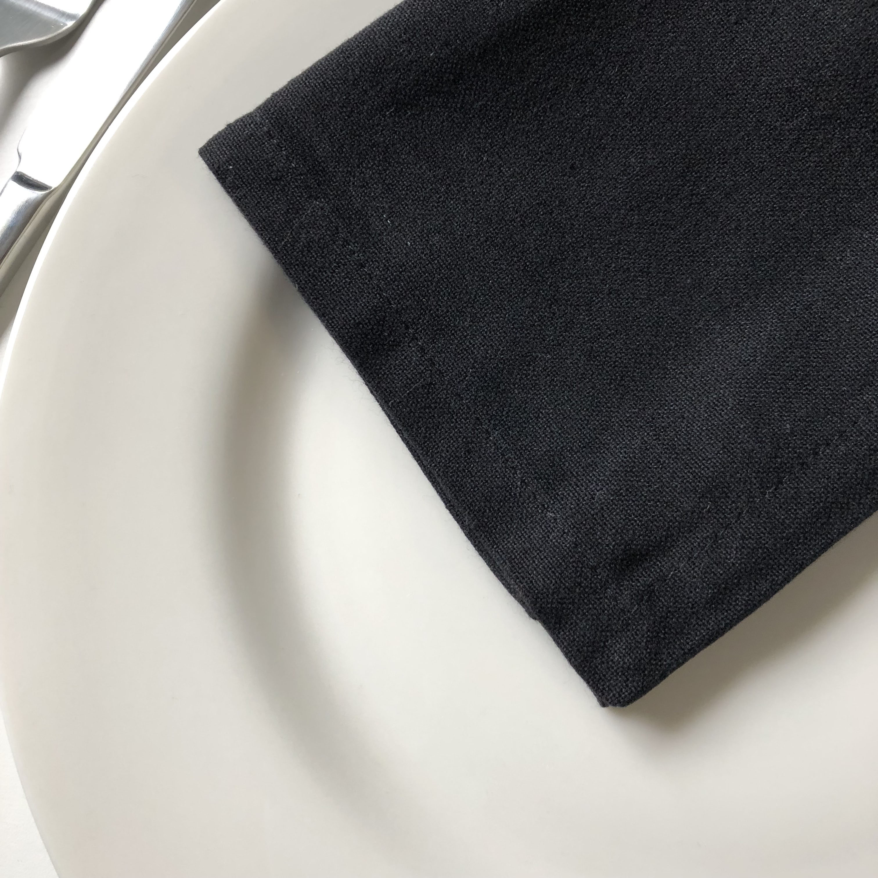 Oversized Cotton Dinner Napkins 20" x 20" - Set of 12