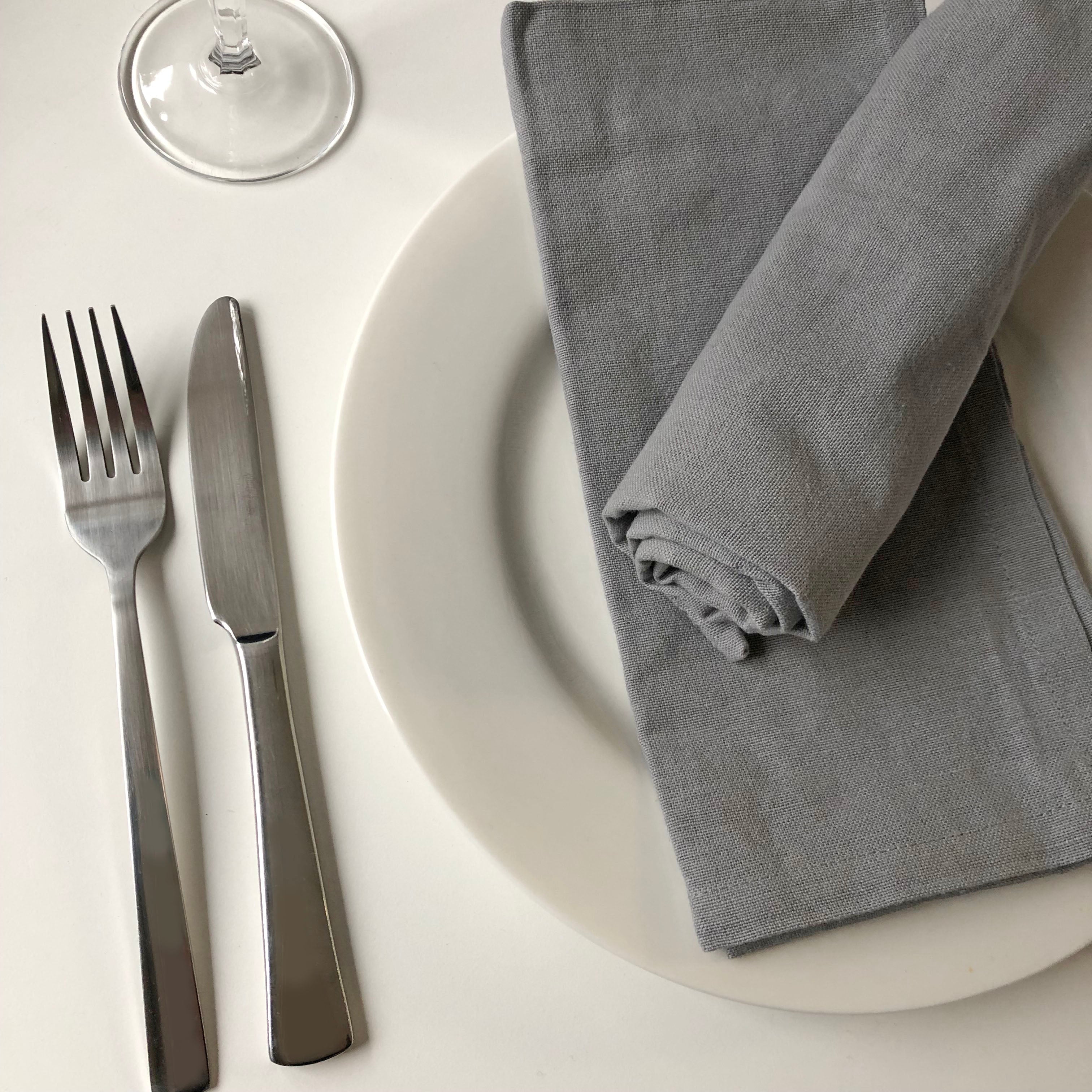 Oversized Cotton Dinner Napkins 20" x 20" - Set of 12