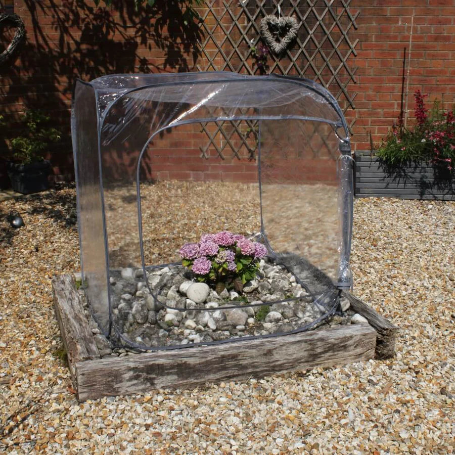 Portable Mini Greenhouse Cloche Cube Which Pops Up