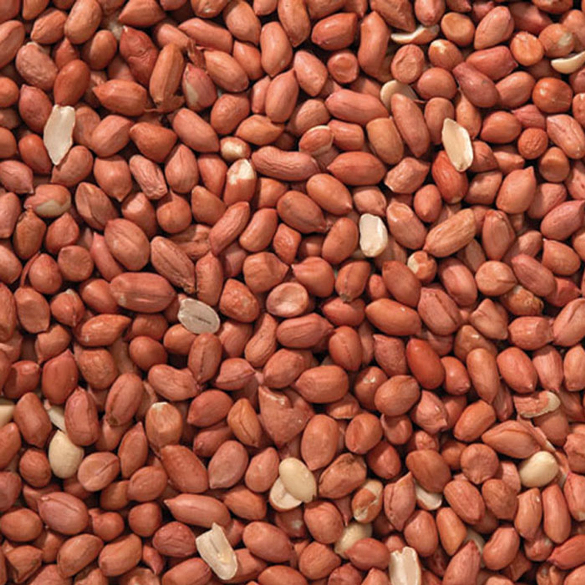 Johnston & Jeff Peanuts Bird Food - 2KG