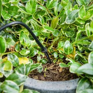 Flopro Plug & Go Watering Kit - Pots & Containers