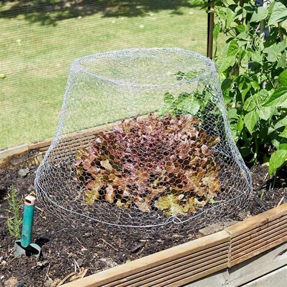 Galvanised Hexagonal Wire Netting 13mm x 1m x 20 Metre