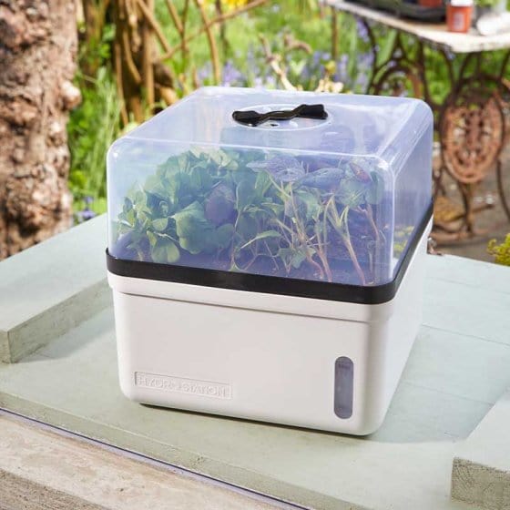 Smart Garden GroZone Perfect Propagator - Self Watering