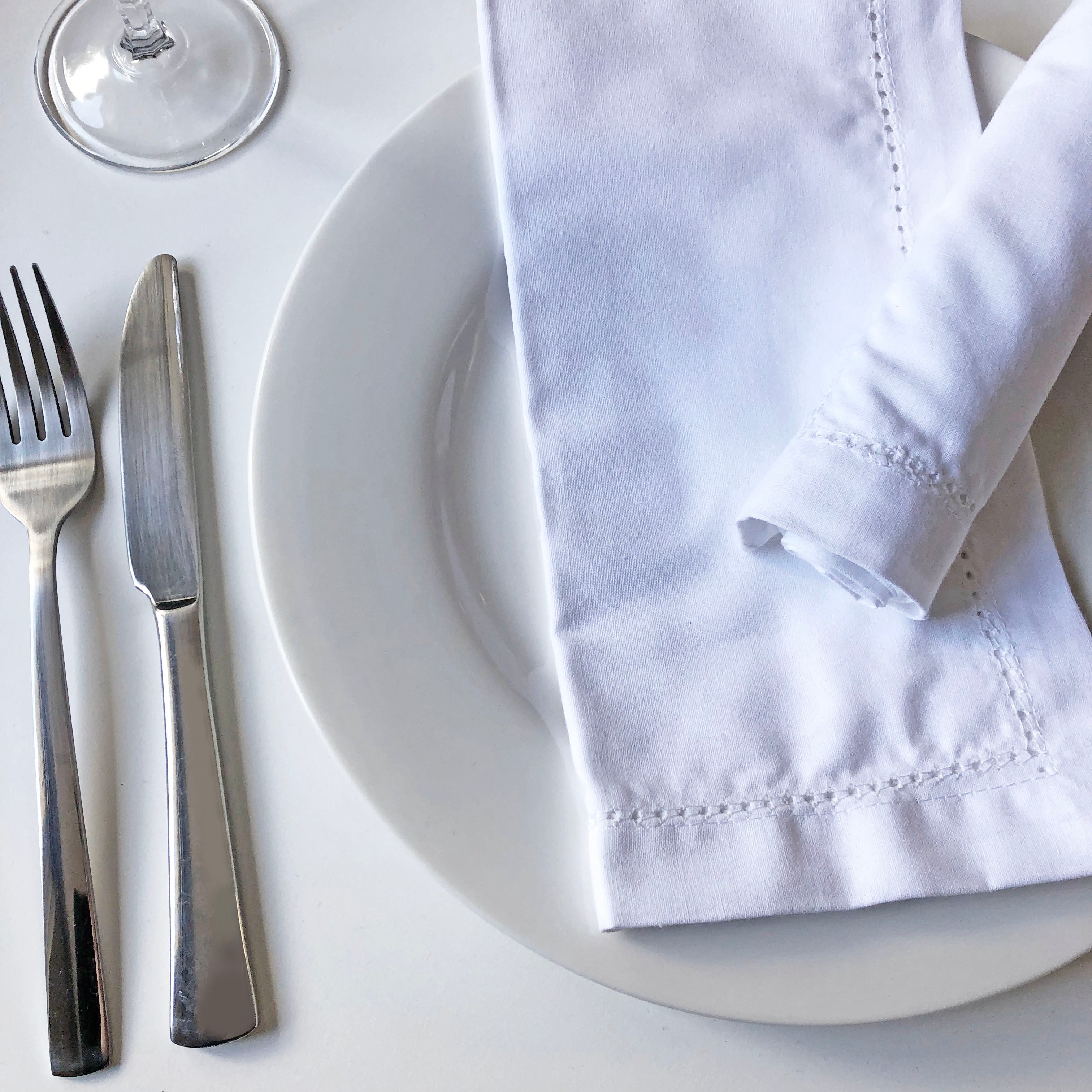 Oversized Cotton Dinner Napkins 20" x 20" - Set of 12