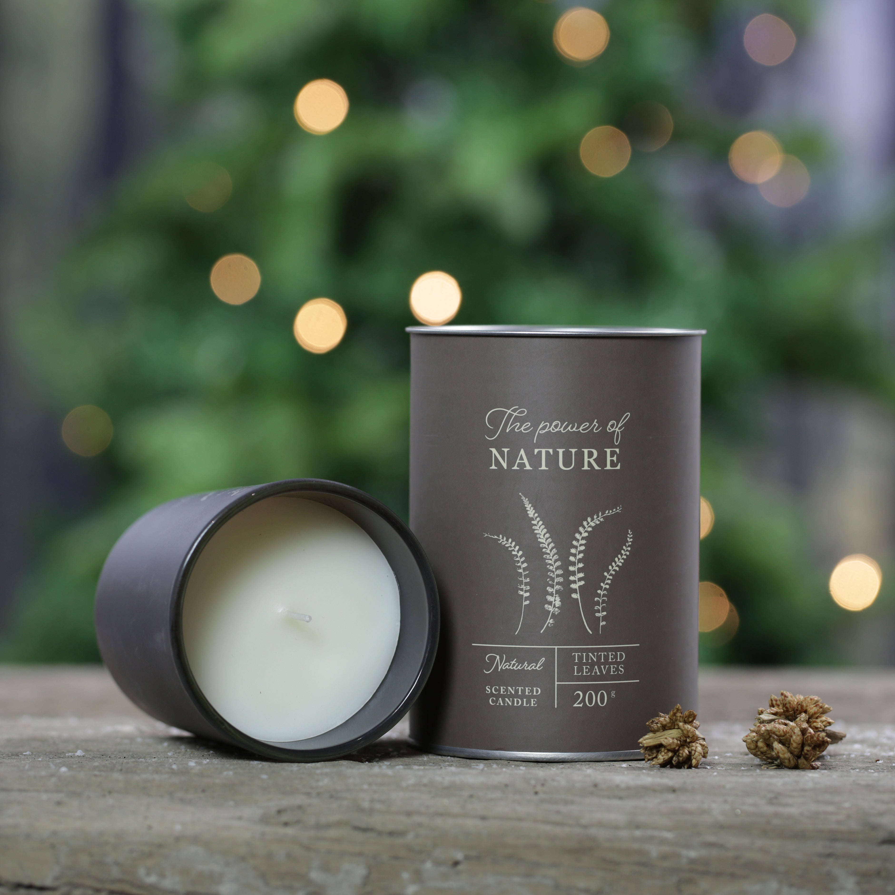 Luxury Power of Nature Scented Candle in Glass - 200g - Tinted Leaves
