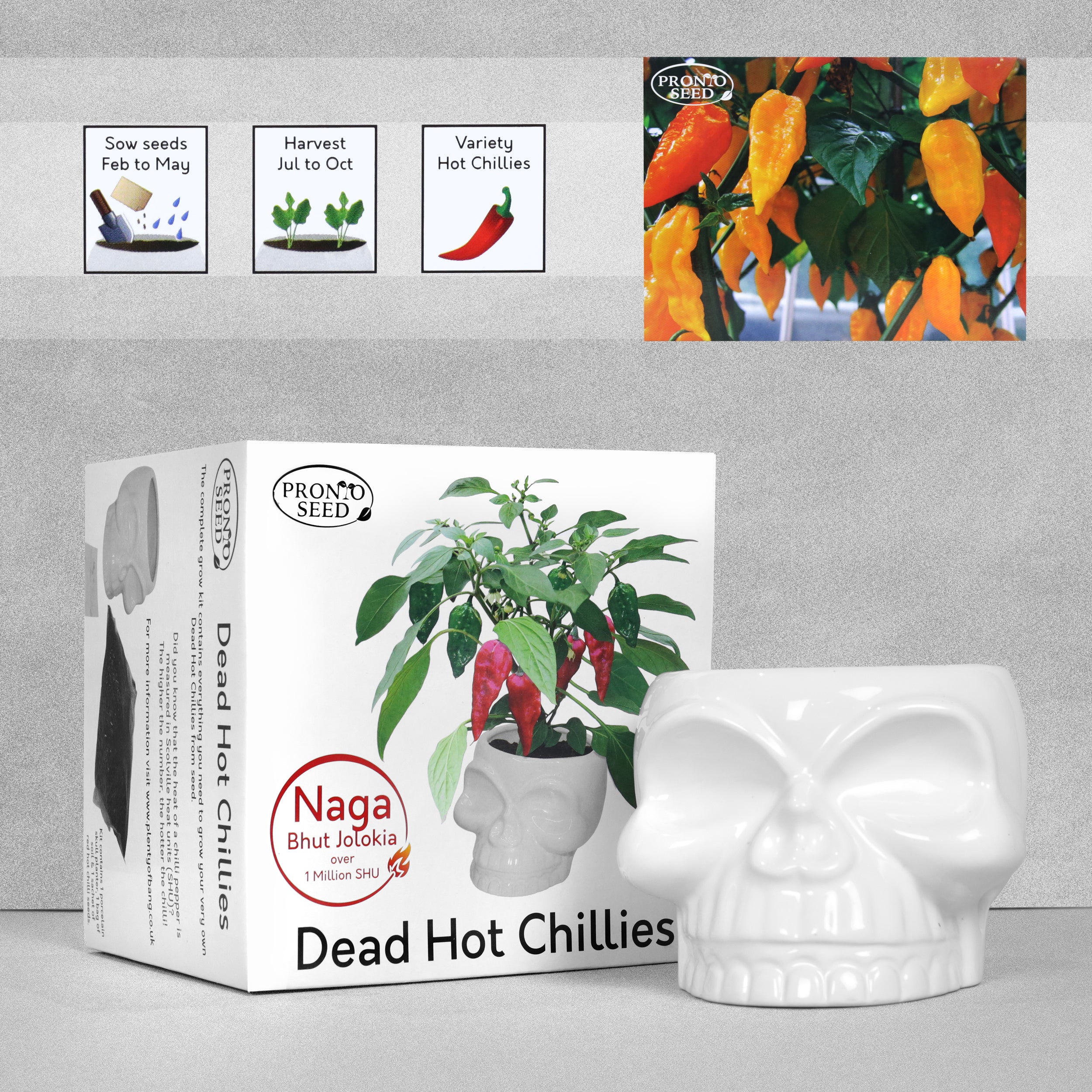 Dead Hot Chillies Seed Grow Kit