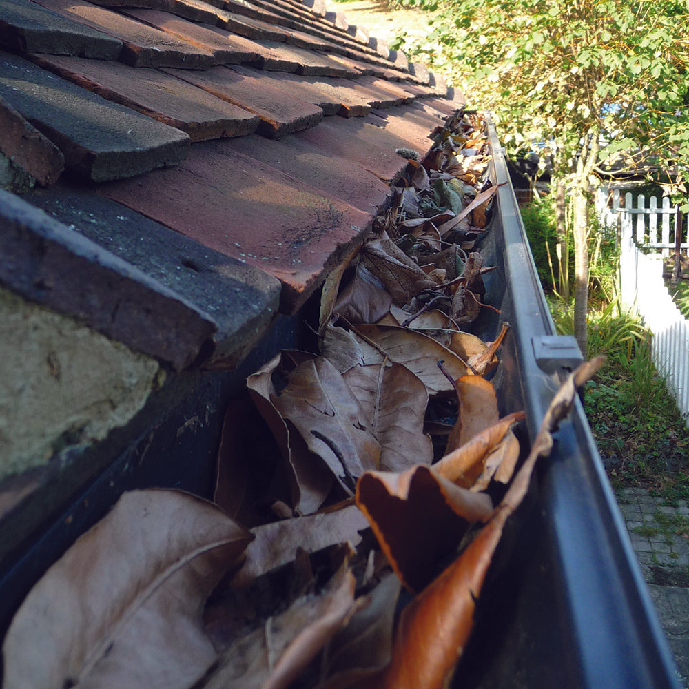 Hedgehog Gutter Brush Gutter Guard - 100mm x 4meter