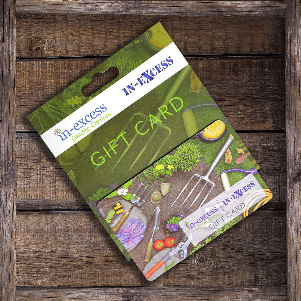 In-Excess Gift Cards - 4 Designs Available