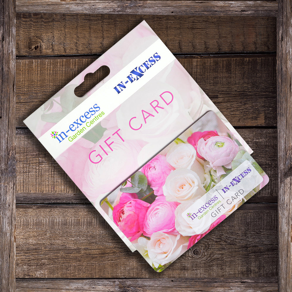 In-Excess Gift Cards - 4 Designs Available