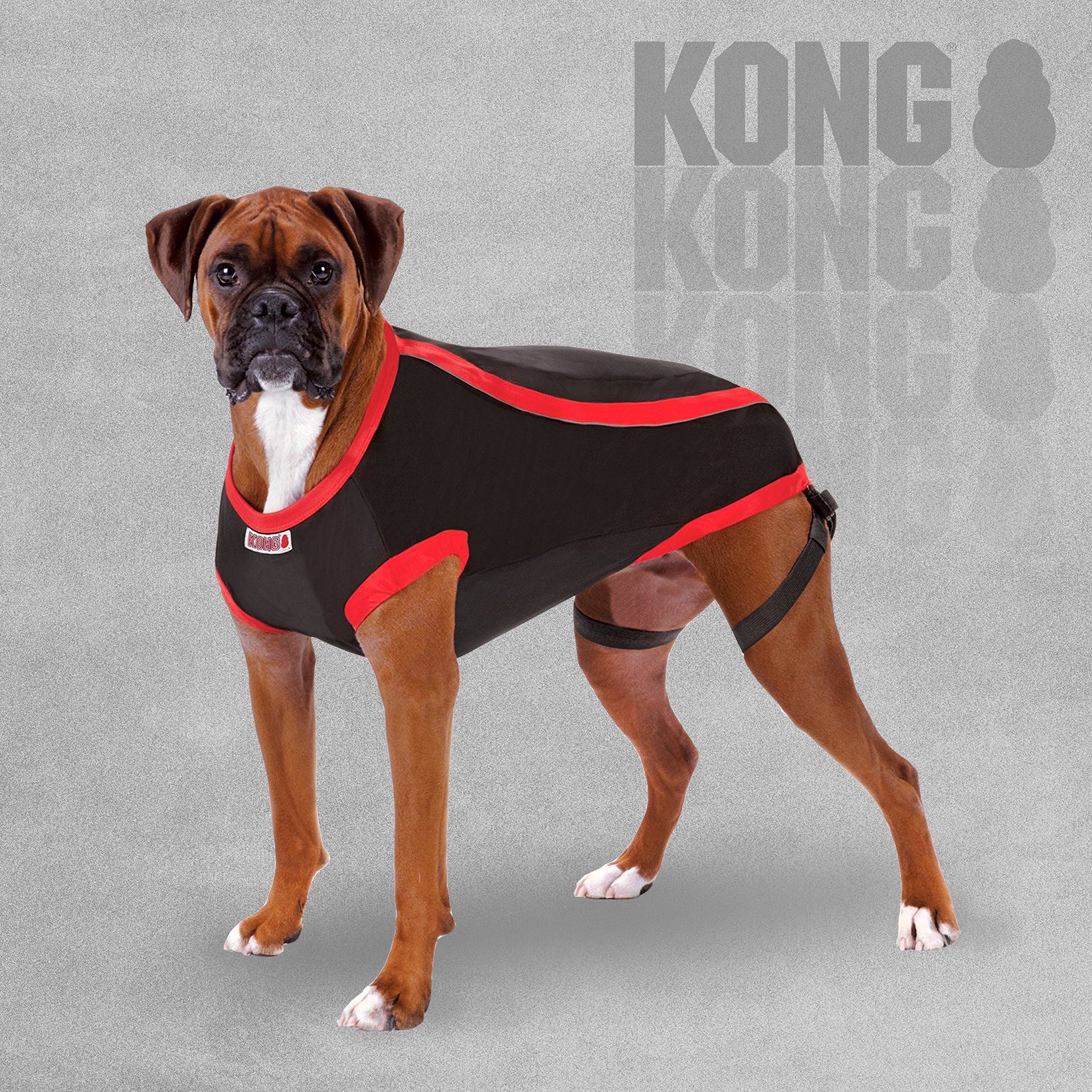 Kong Anxiety Reducing Dog Shirt For Anxious Dogs - all sizes