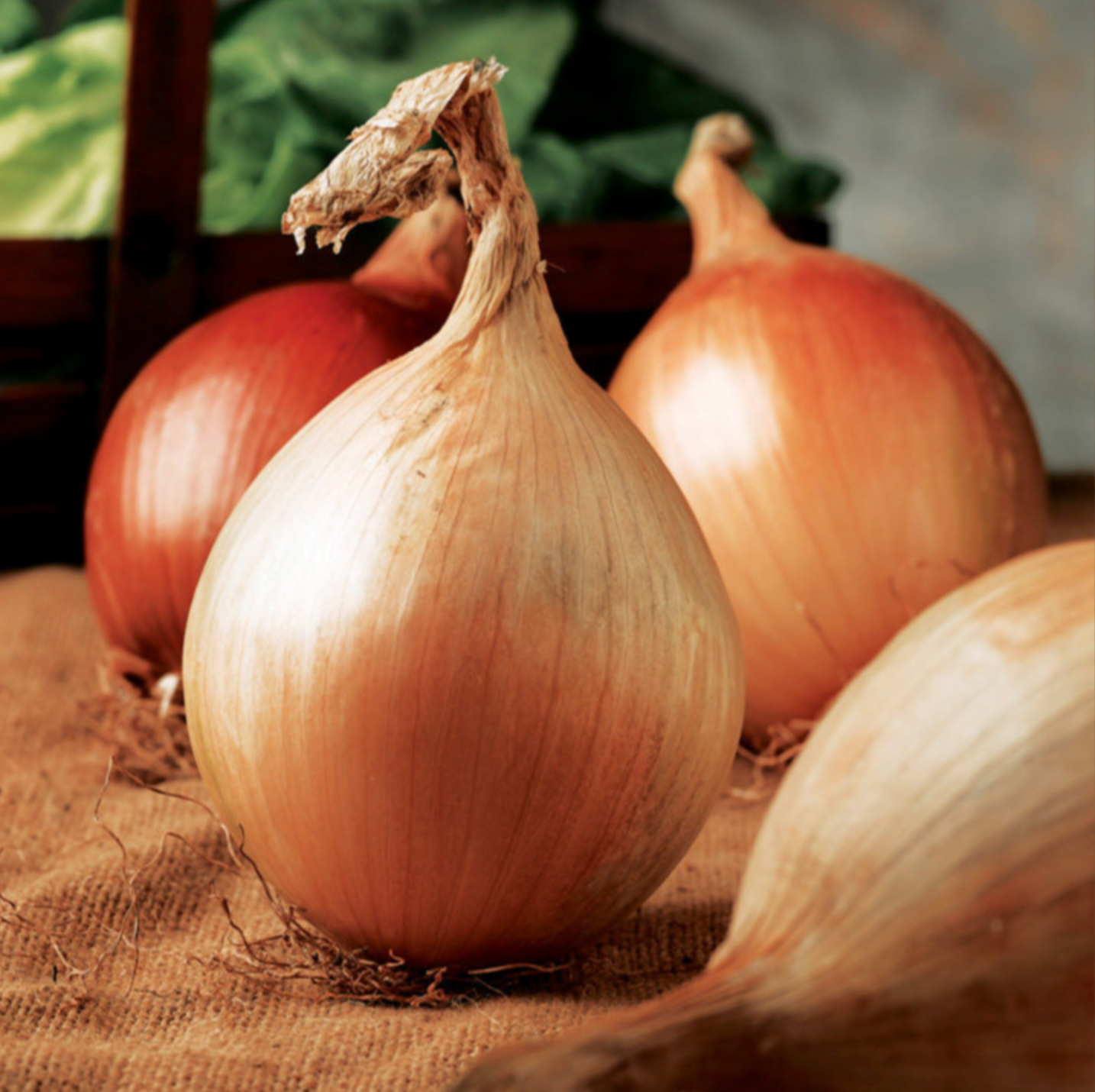 Suttons Onions Seeds -
