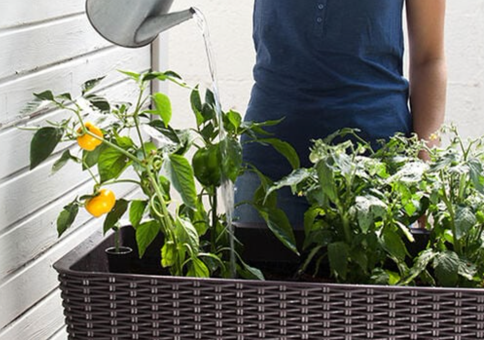 Keter Easy Grow Elevated Garden Bed - Dark Brown