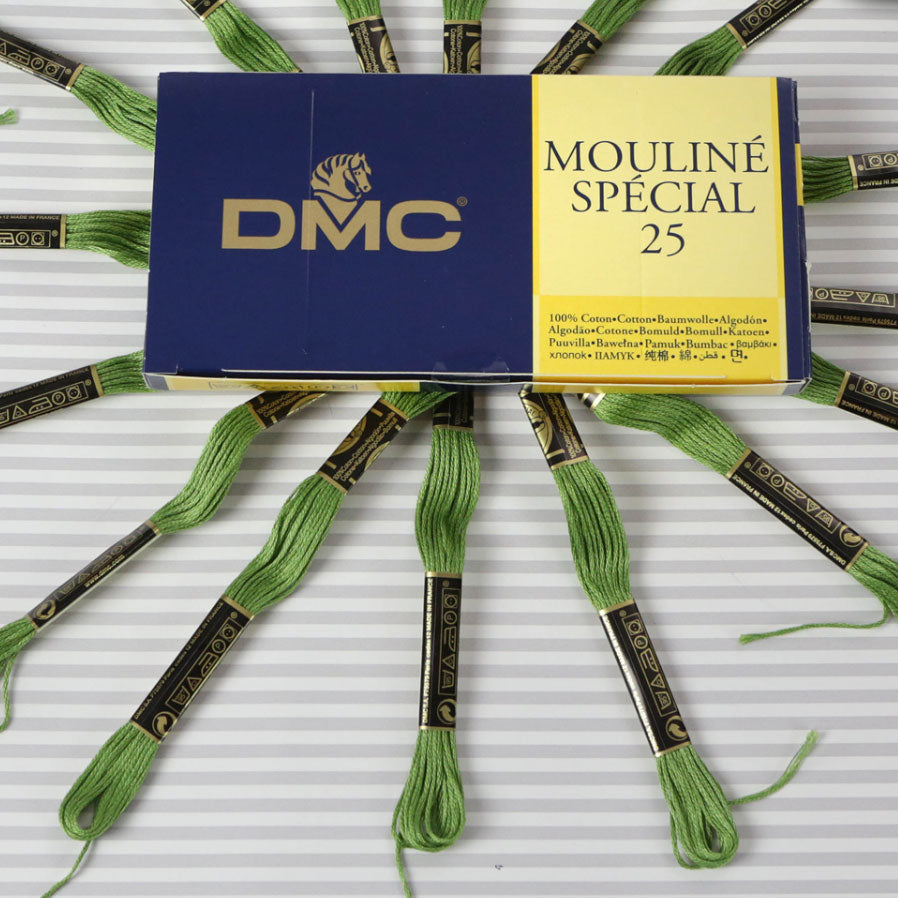 DMC Mouliné Special 25 Cotton Thread - Pack of 16 Skeins (3347 Yellow Green)