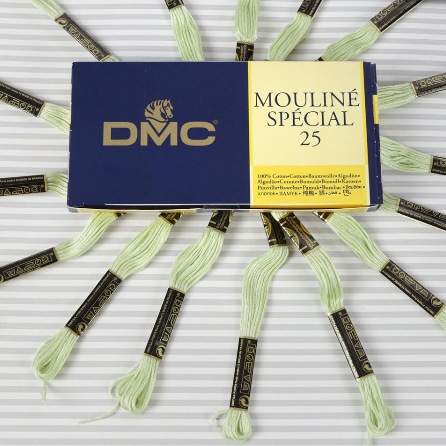 DMC Mouliné Special 25 Cotton Thread - Pack of 16 Skeins (772 Yellow Green)
