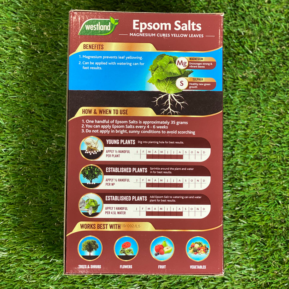 Westland Epsom Salts Greener Foliage - 1.5kg