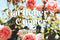 Enjoying Your Garden with In-Excess