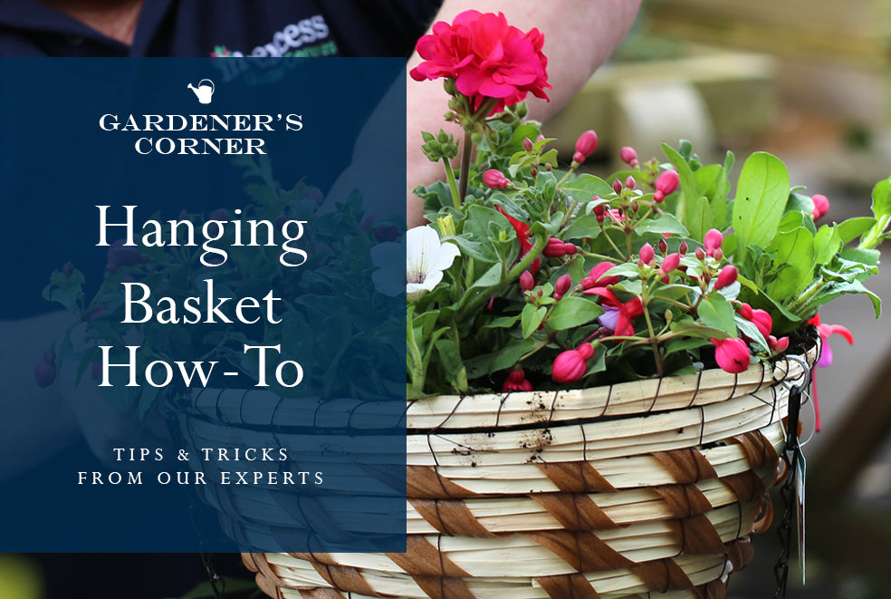 Hanging Basket How-To