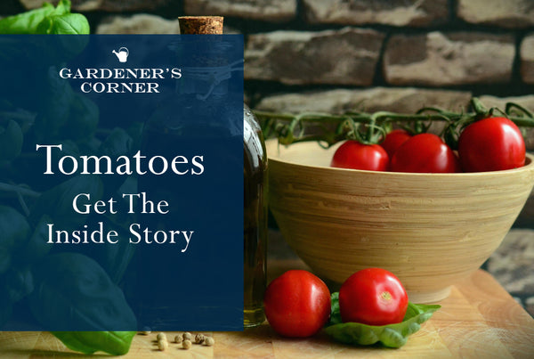 Tomatoes, Get The Inside Story!
