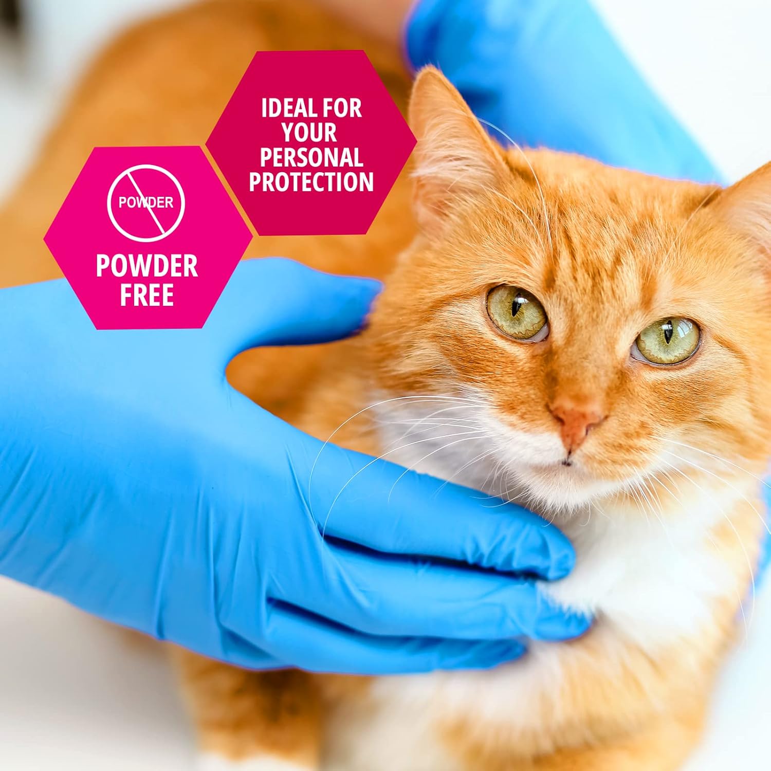 Better Touch Blue Nitrile Powder Free Large Glove