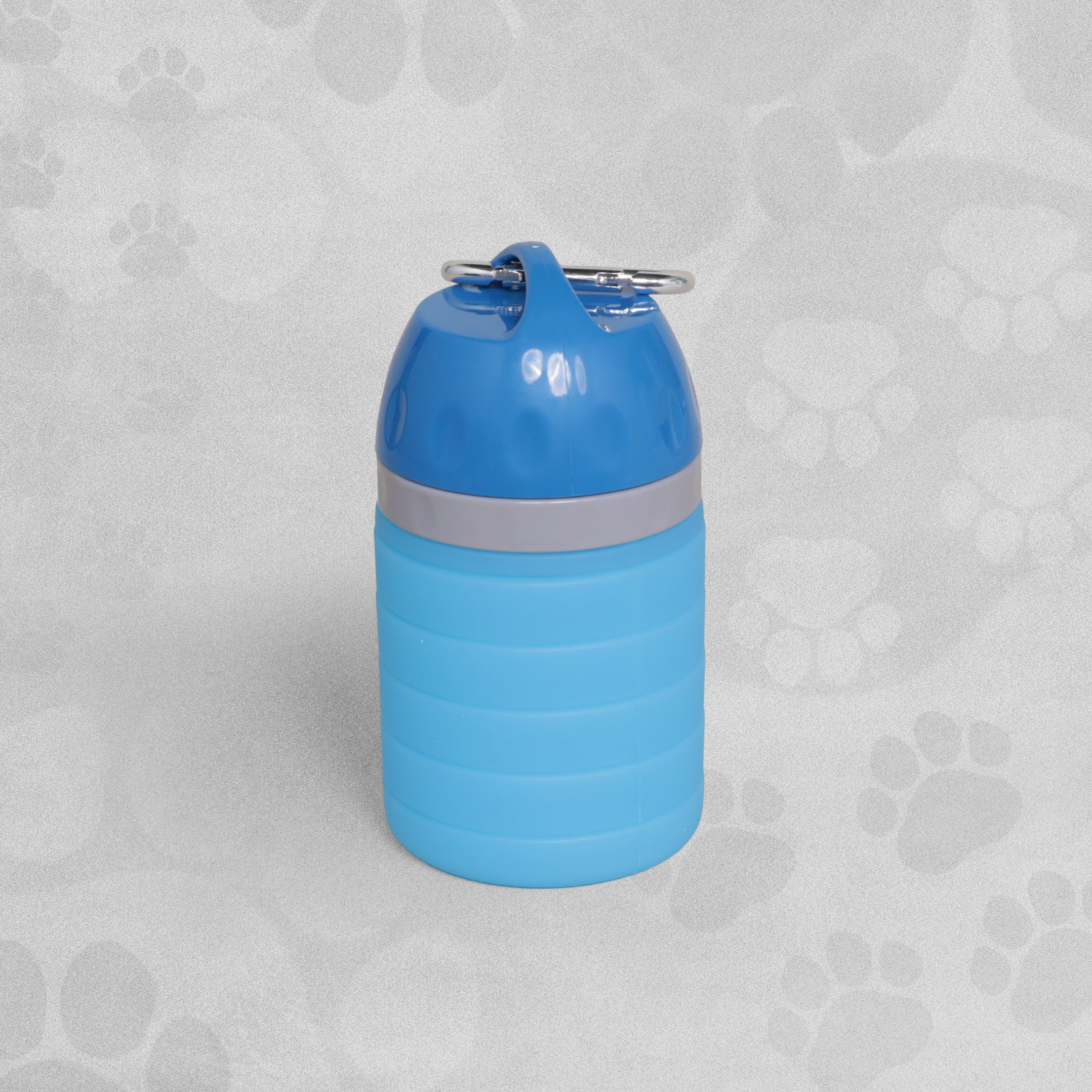 Collapsible Dog Water Bottle