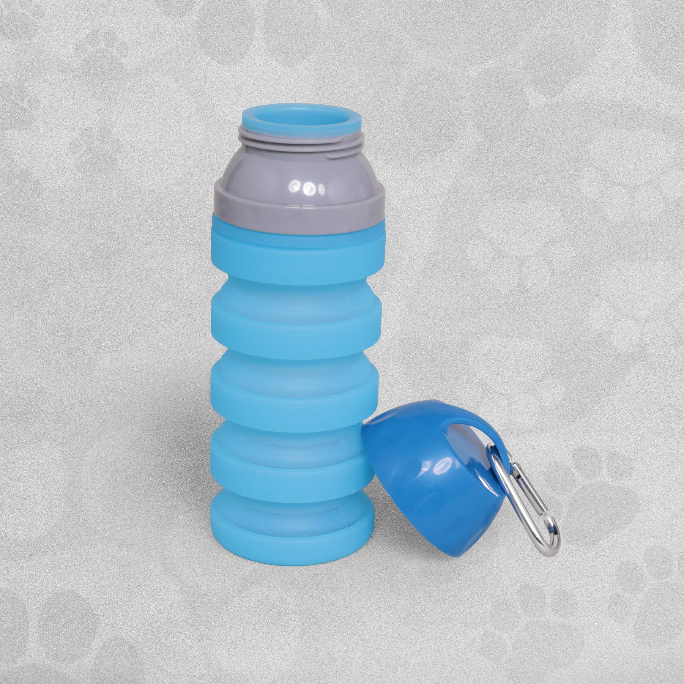 Collapsible Dog Water Bottle