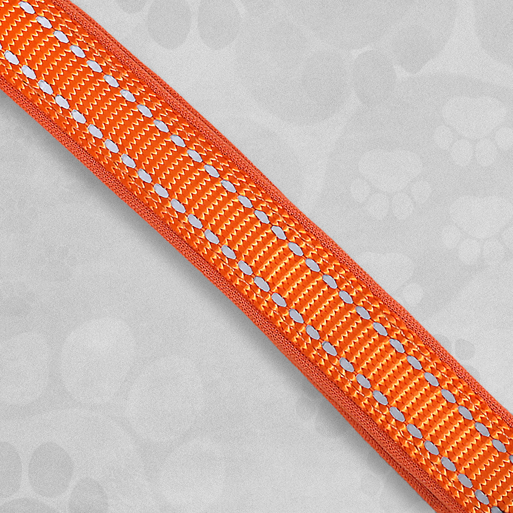Reflective Dog Collar - Various Sizes Available