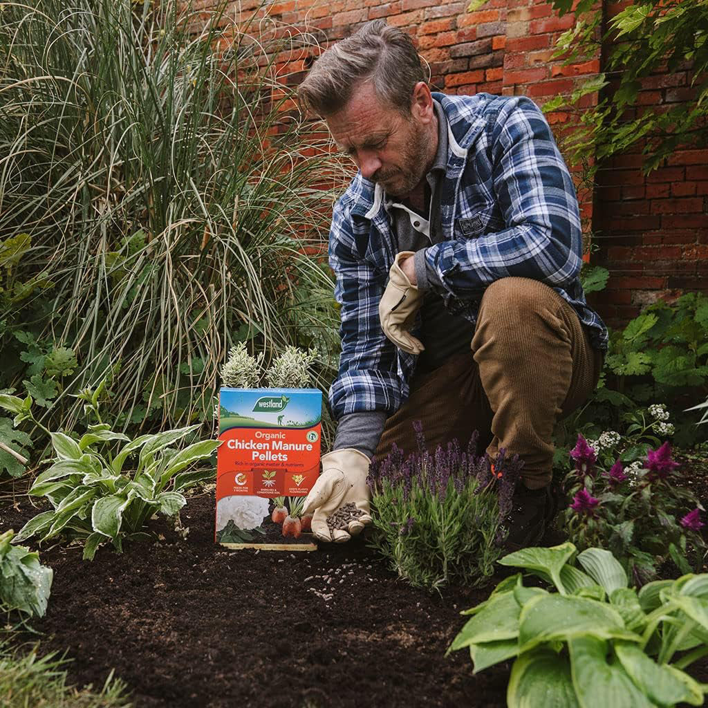 Westland Chicken Manure Pellets - 2.25kg + 25% Extra Free