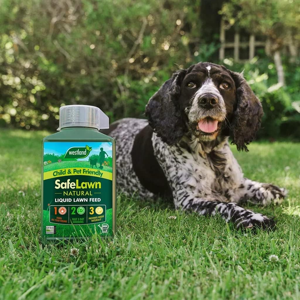 Westland SafeLawn Natural Liquid Lawn Feed - 1L