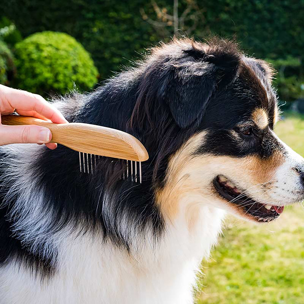 Zoon Pet Fine/ Wide Tooth Rotating Comb