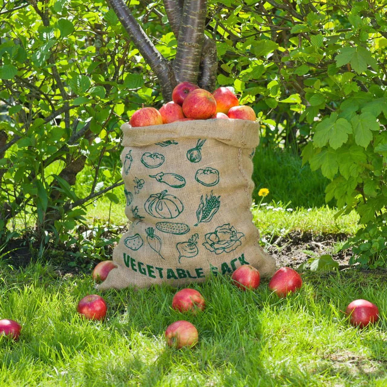Potato/Vegetable Storage Bag