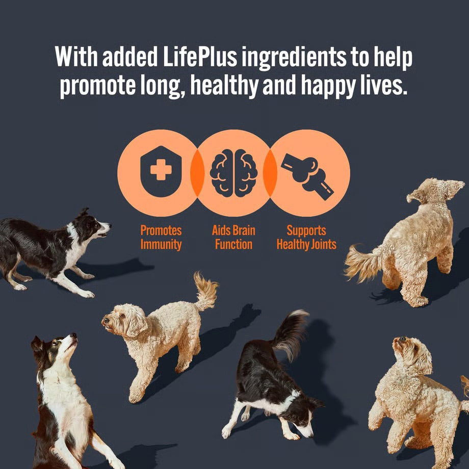 HiLife Adult Dog Food Pouches - 8pcs