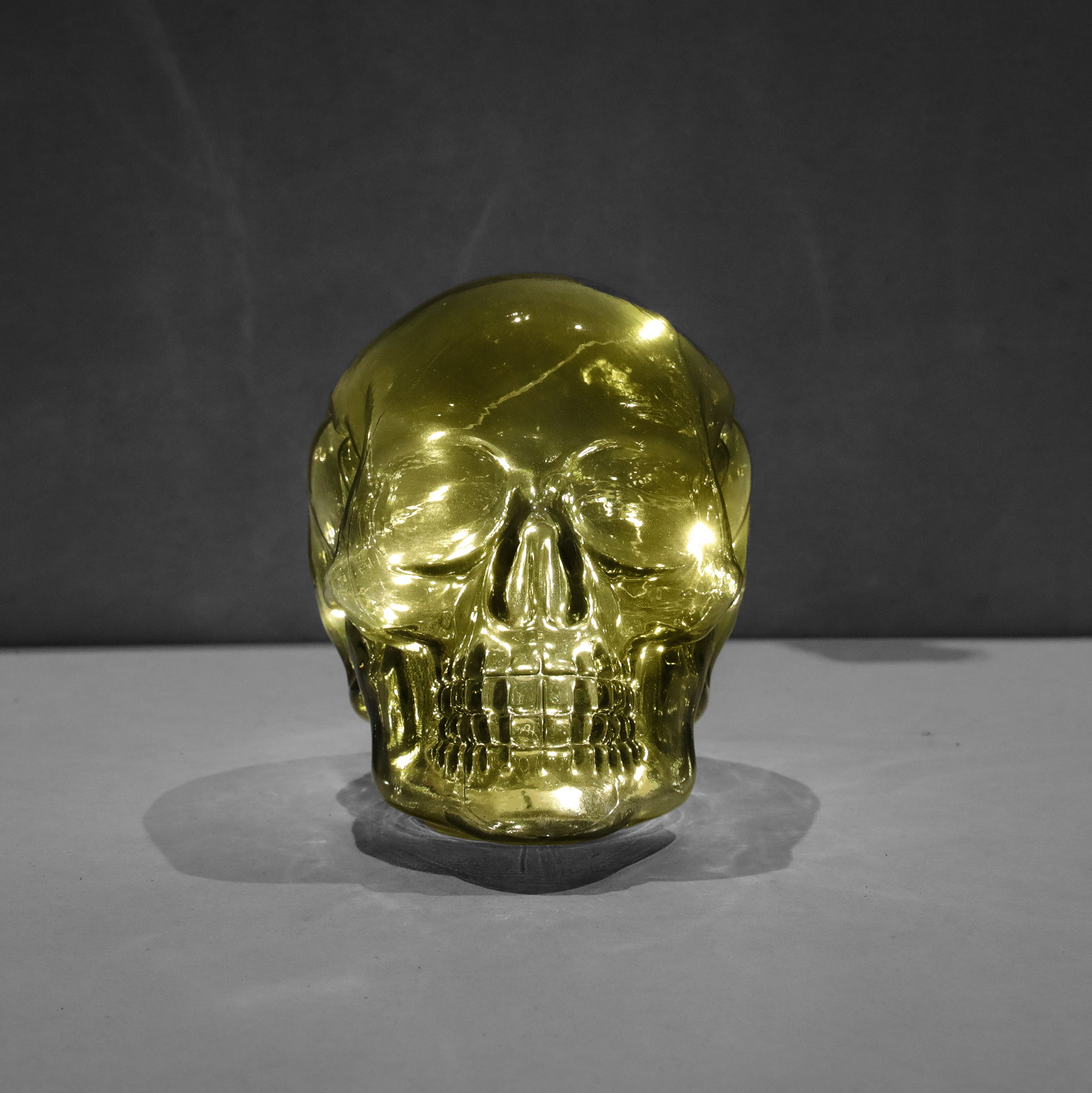 David Fischhoff LED Glass Decorative Skull - Various Colours