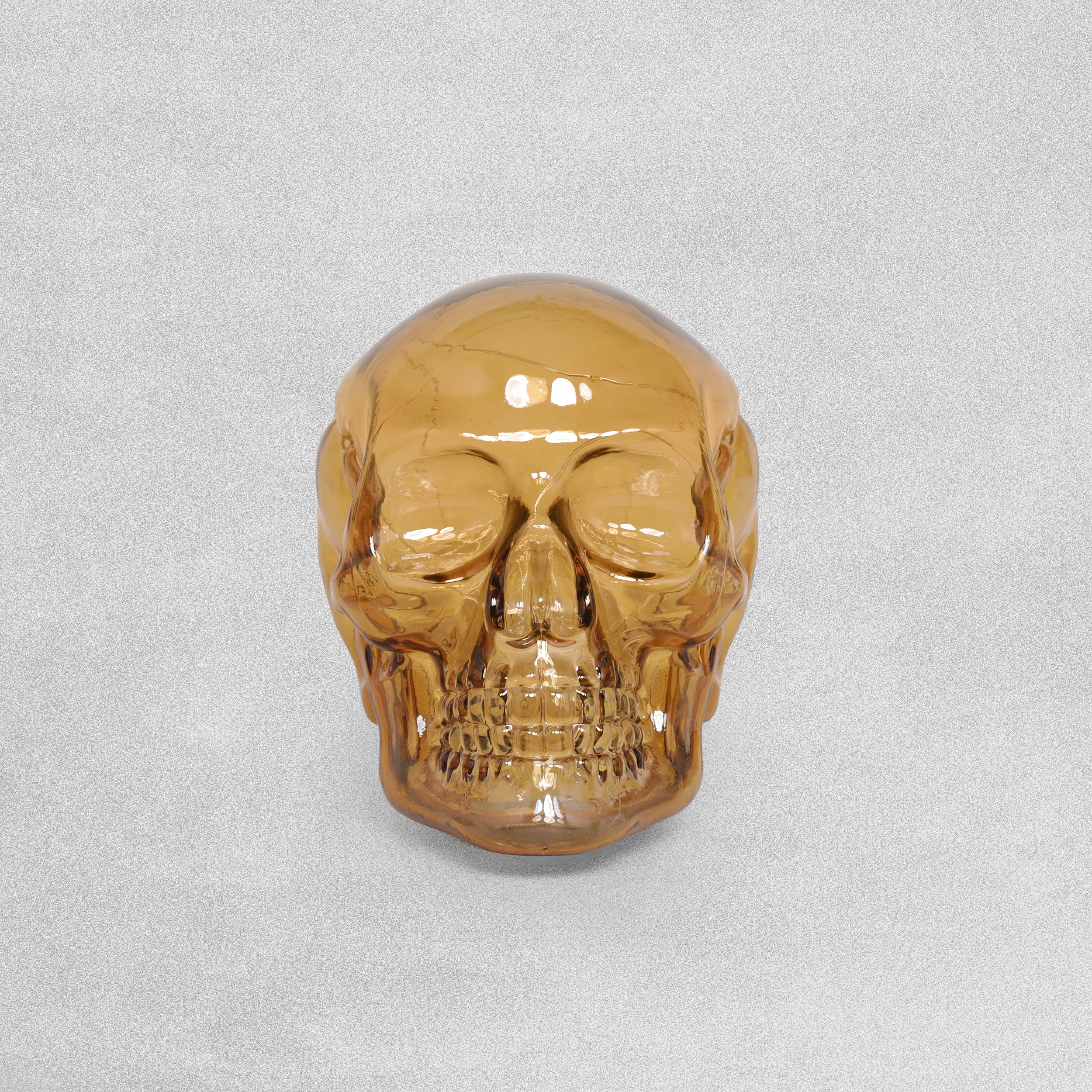 David Fischhoff LED Glass Decorative Skull - Various Colours