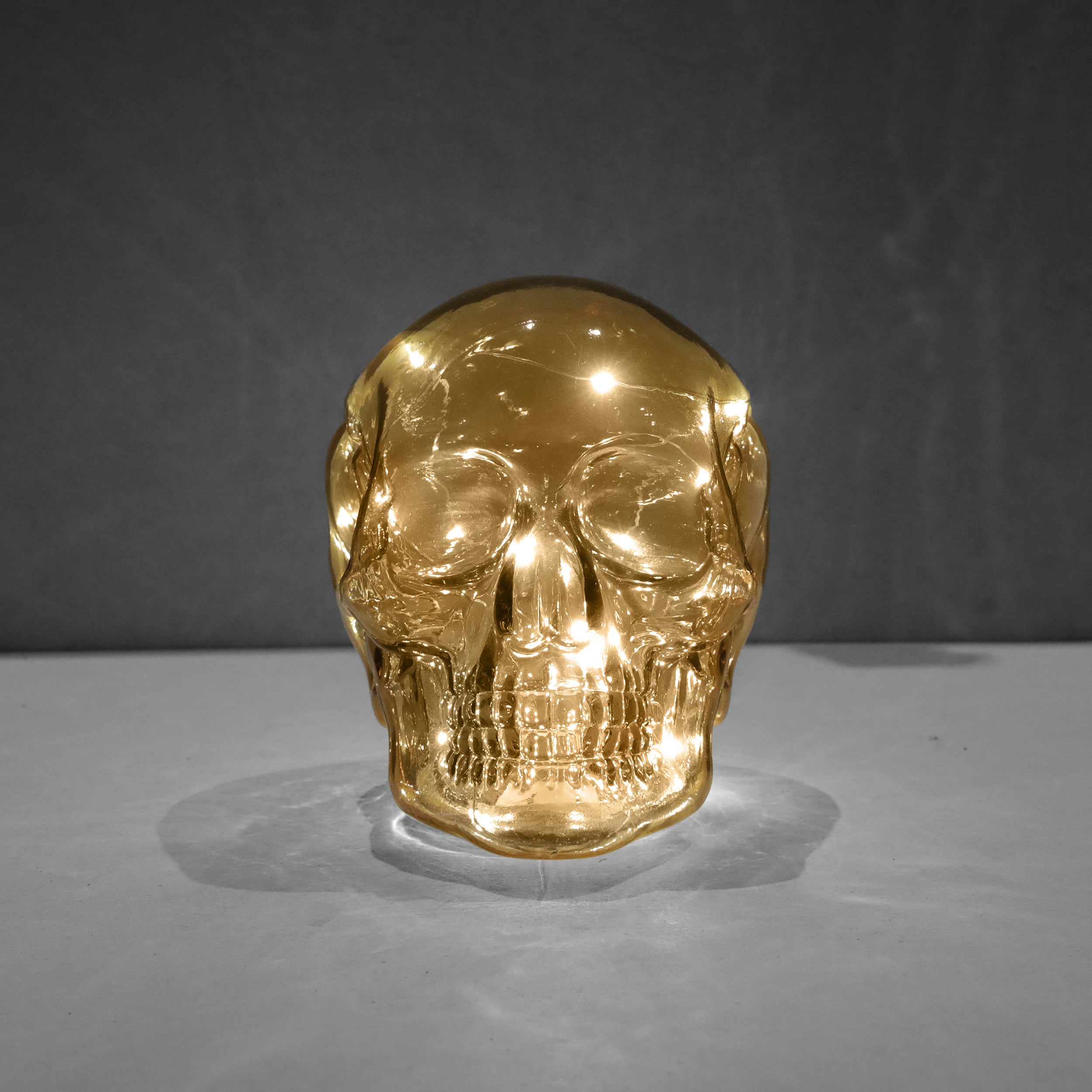 David Fischhoff LED Glass Decorative Skull - Various Colours