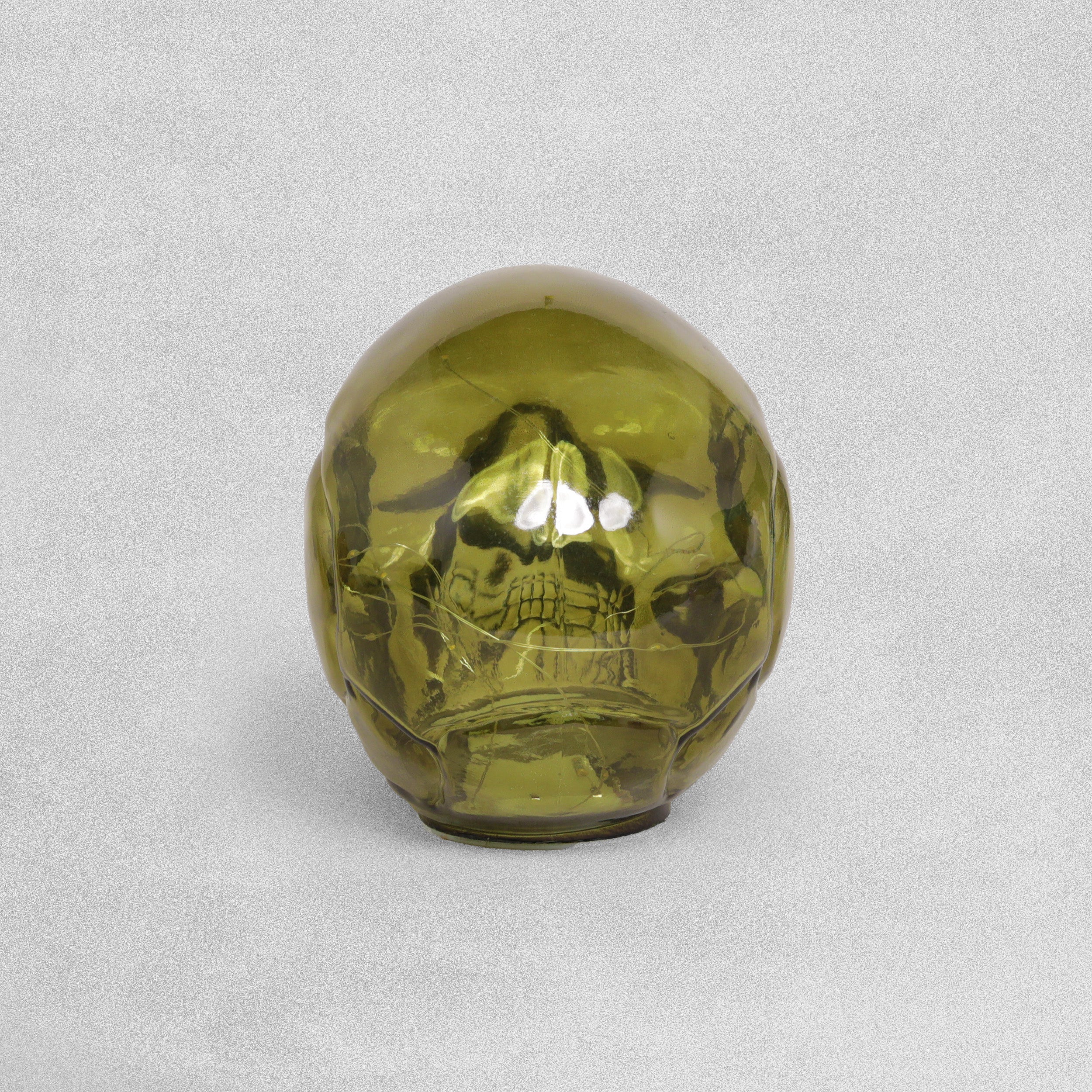 David Fischhoff LED Glass Decorative Skull - Various Colours