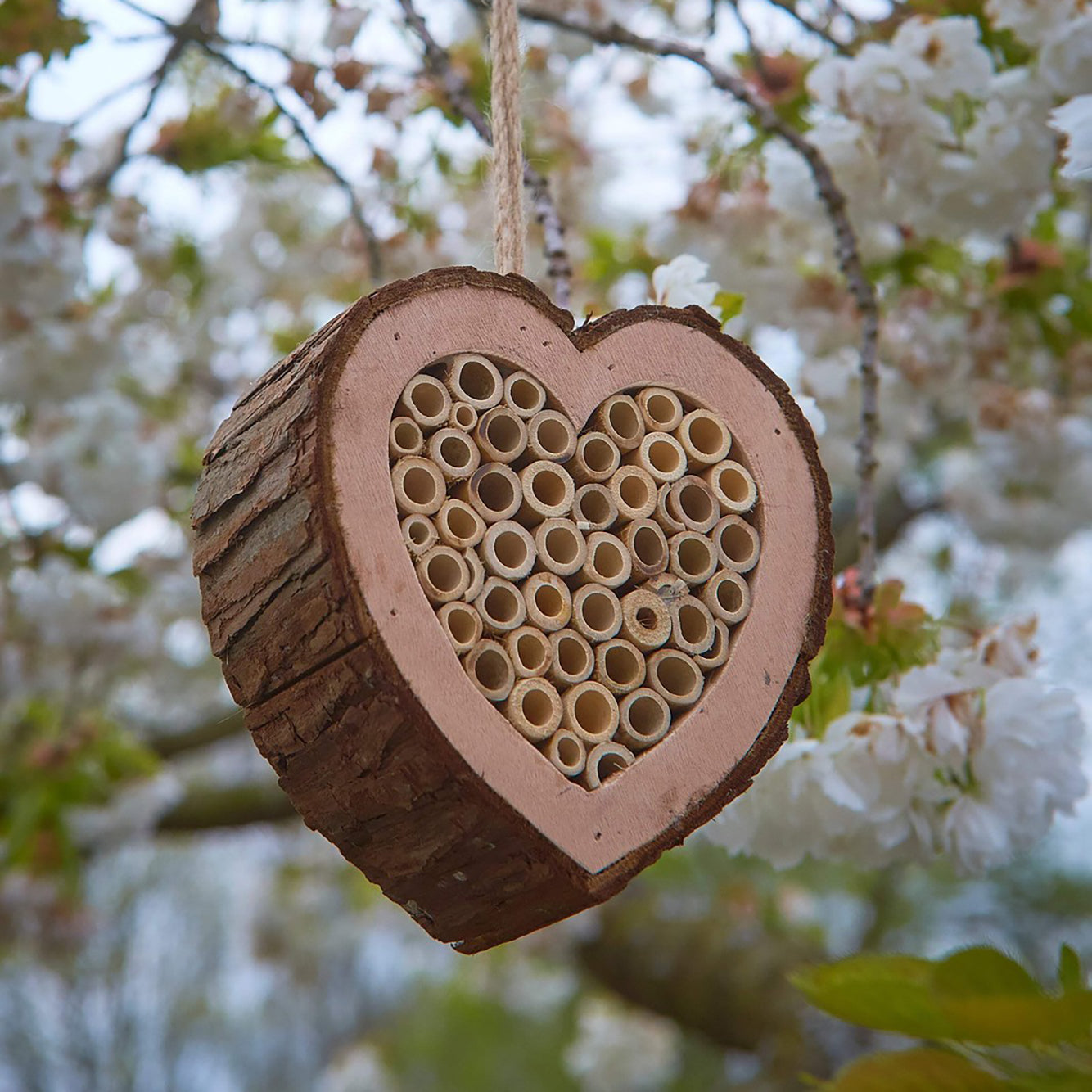 Tom Chambers Bee Love Heart Wildlife House
