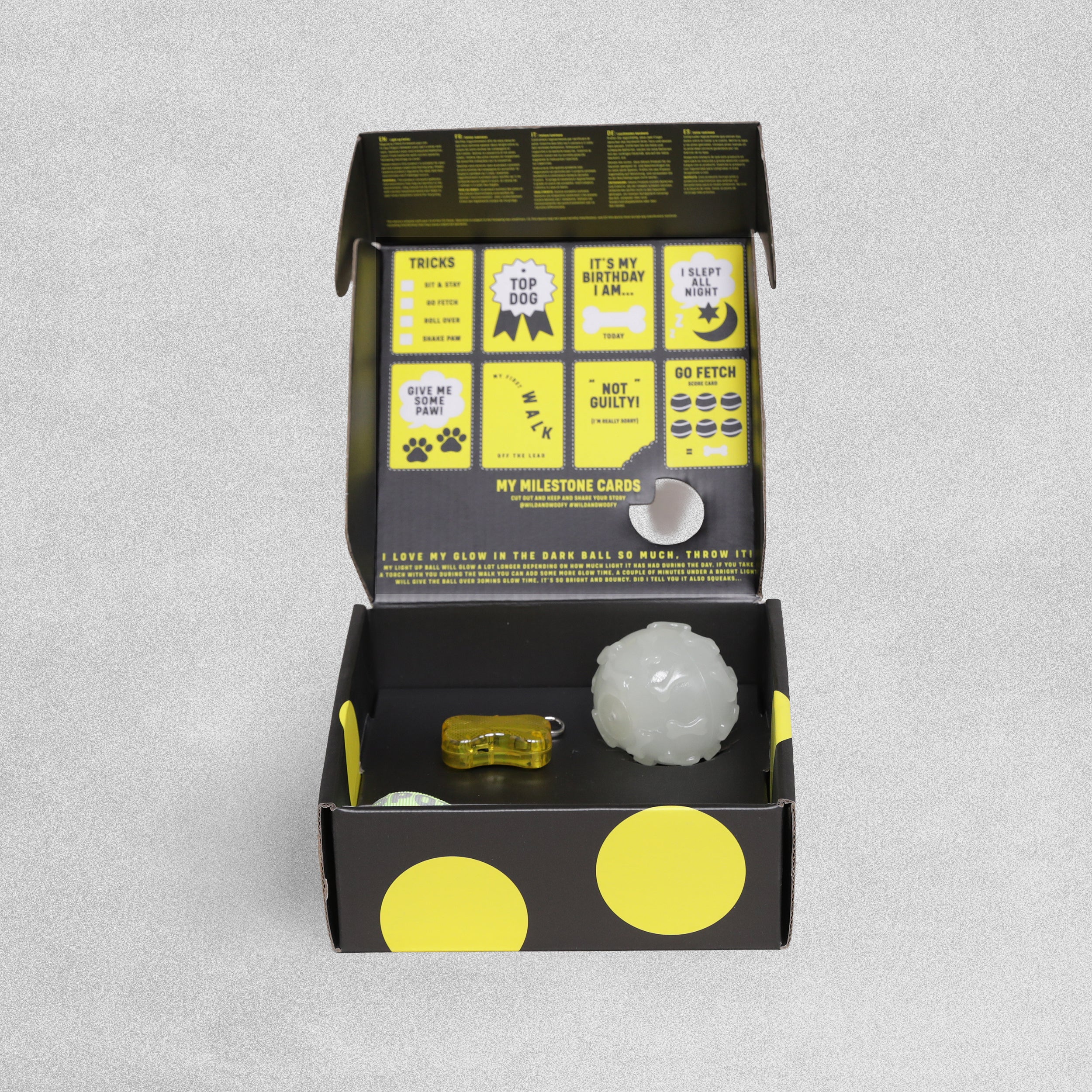 Wild & Woofy Glow in The Dark Dog Walking Kit- Light Up Collar and Glow in the Dark Ball.