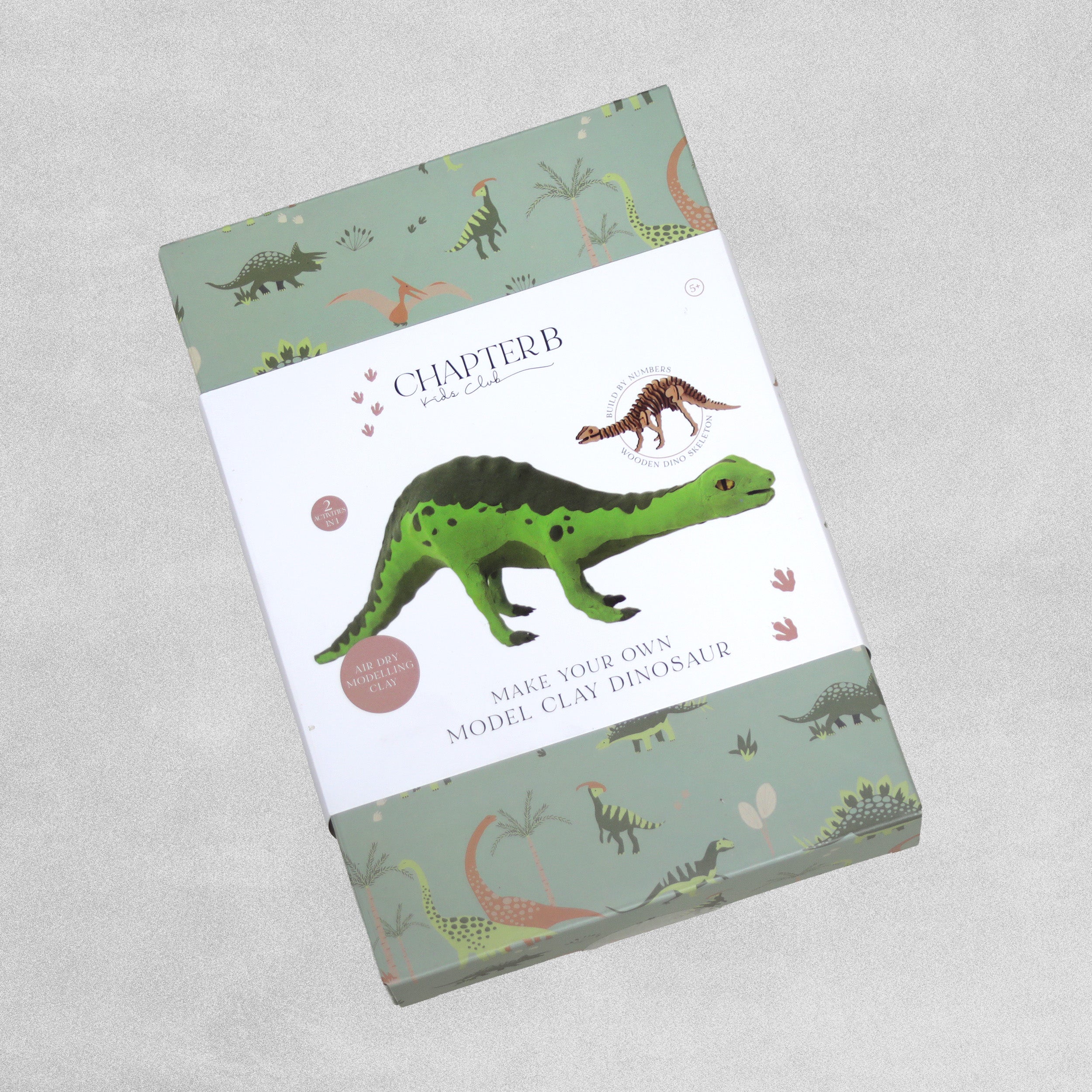 Chapter B Kids Club Make Your Own Model Clay Dinosaur - Various Dino's