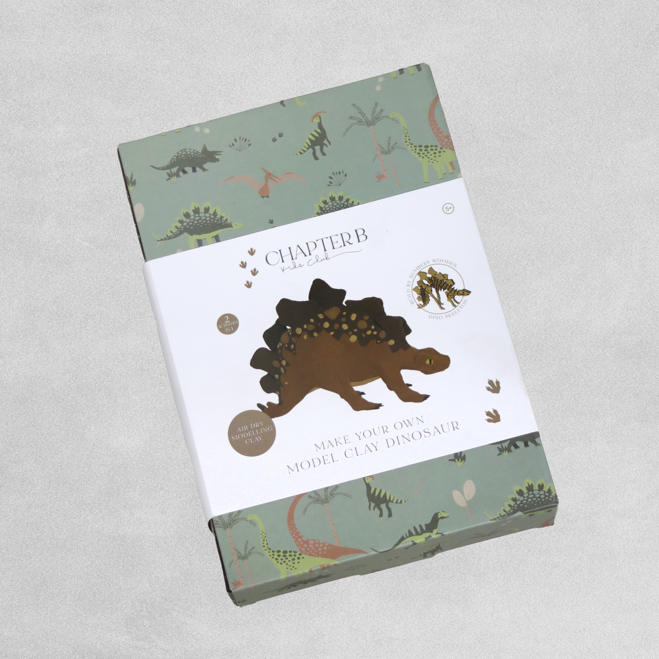 Chapter B Kids Club Make Your Own Model Clay Dinosaur - Various Dino's