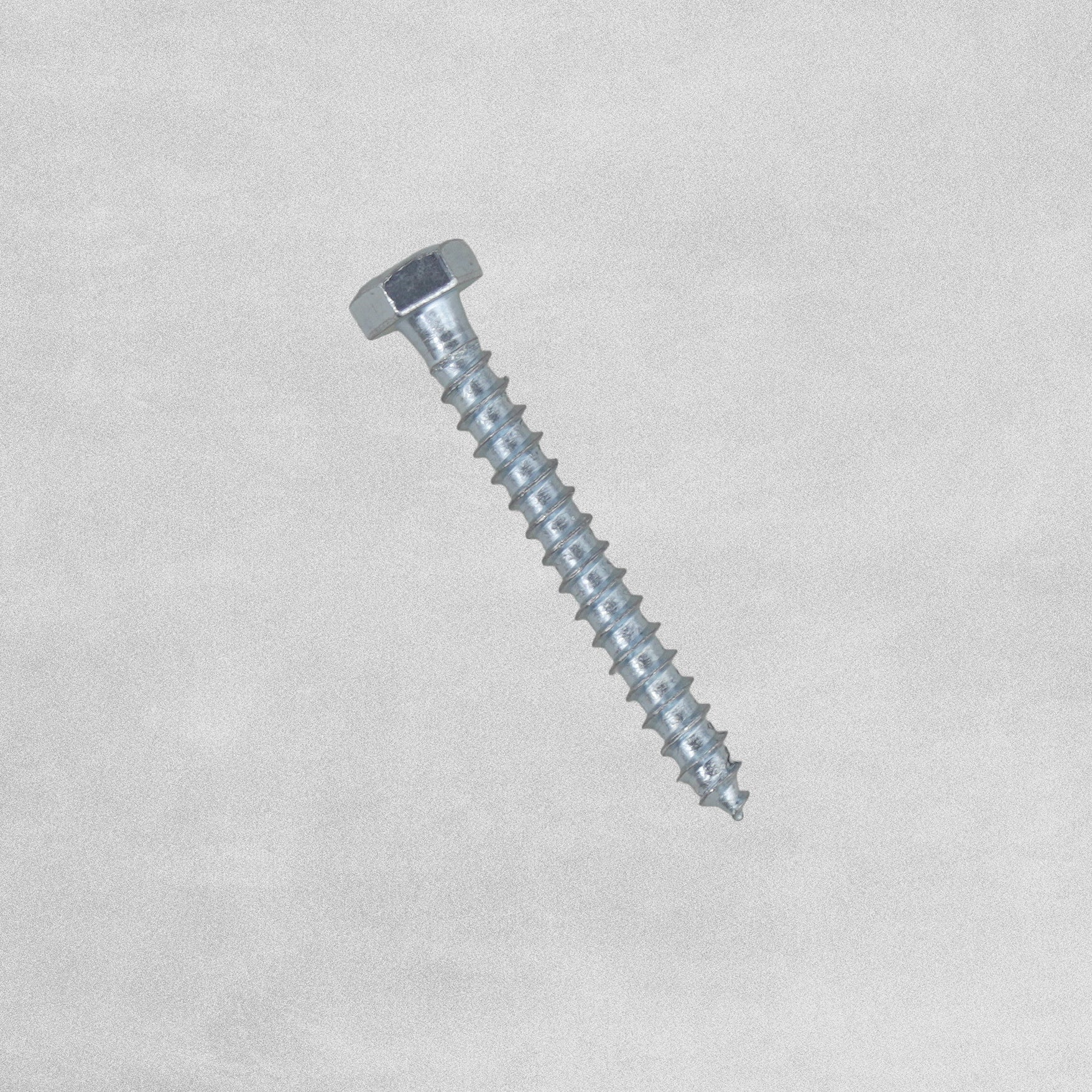CK Wholesales Coach / Wood Screws 6 x 50 12pc