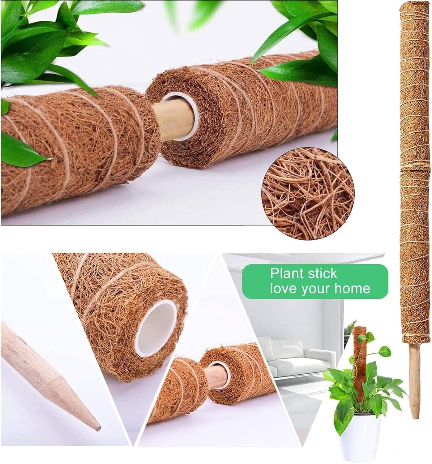 Diyar Moss Poles - pack of 2