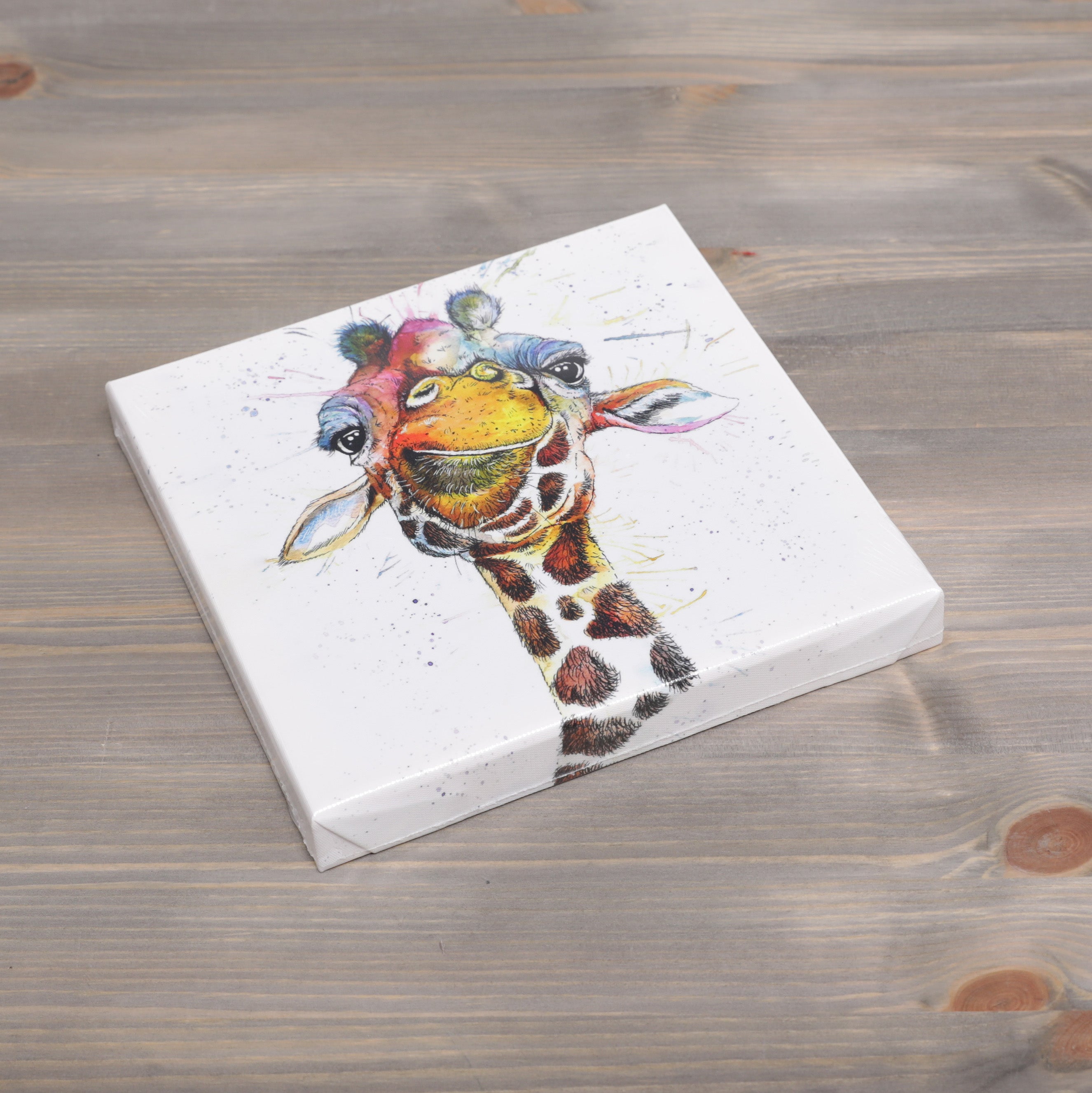 Deluxe Canvas Wall Art - Various Designs