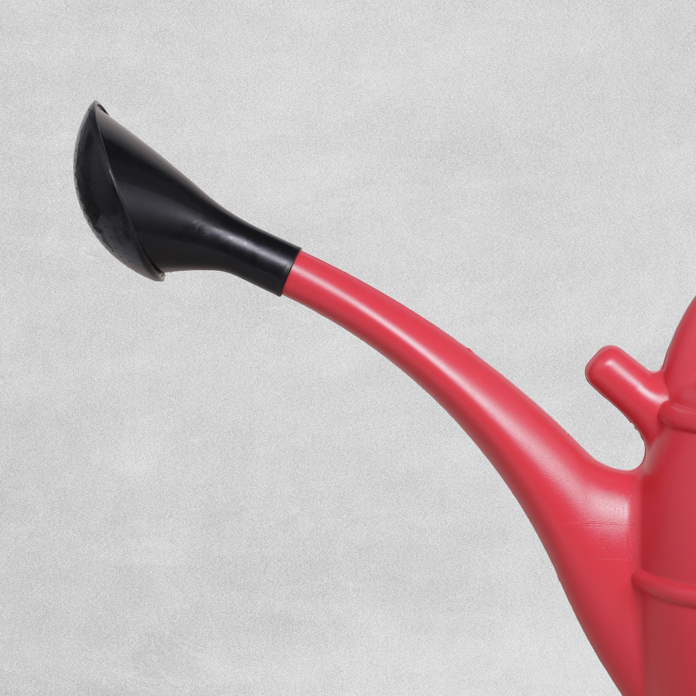 Strata Watering Can with Rose - 10L