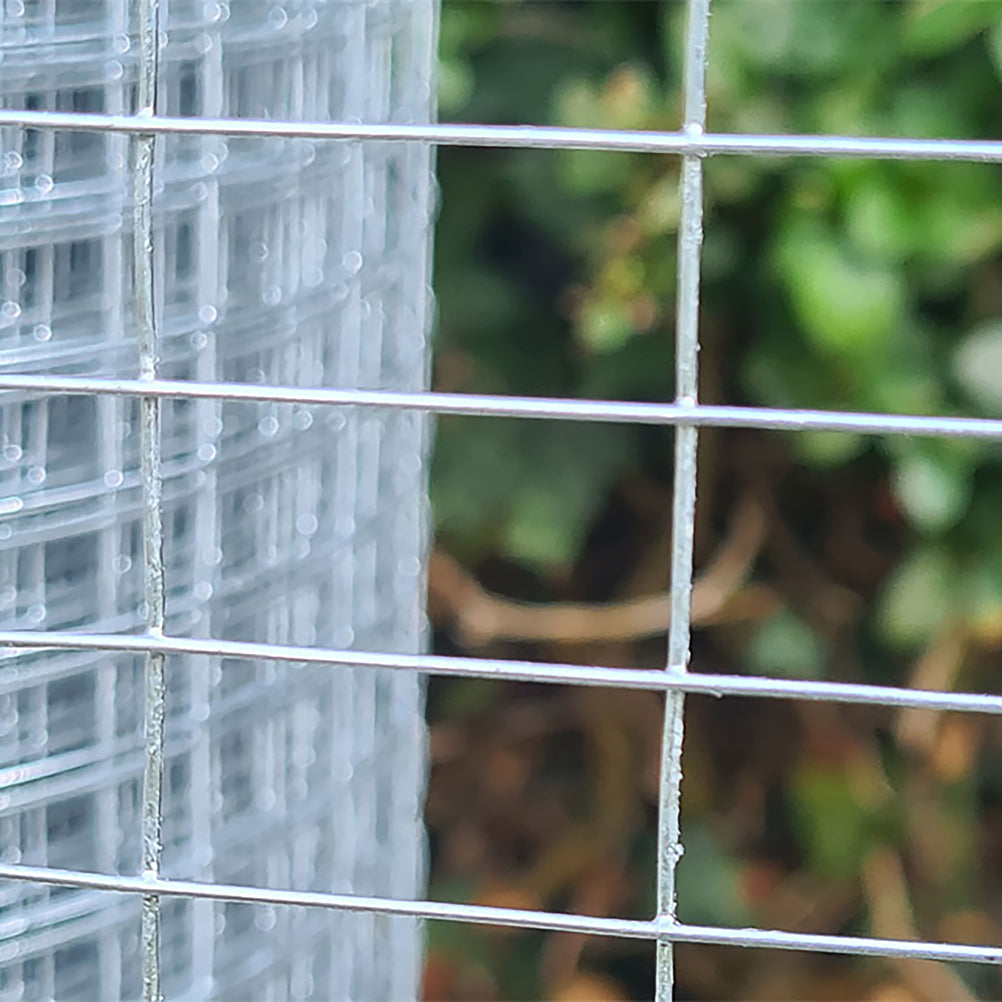 Galvanised Welded Mesh Netting 50X50MM, Length  6 Meter, Height 900mm