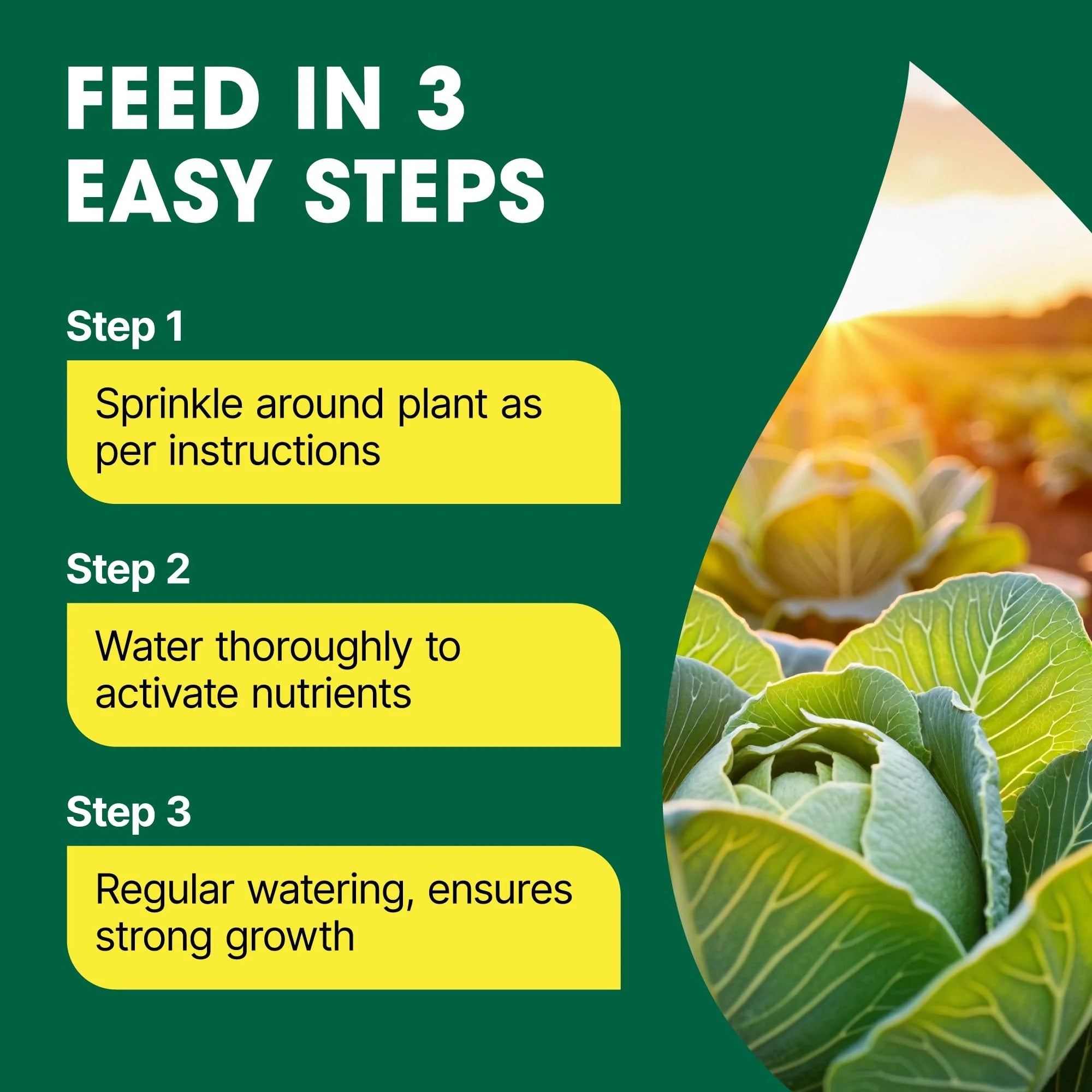 Doff Growmore Multi Purpose Plant Food 7-7-7 1kg