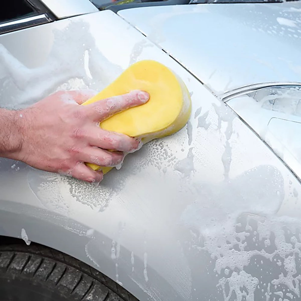Bettina Car Sponges  3 pk
