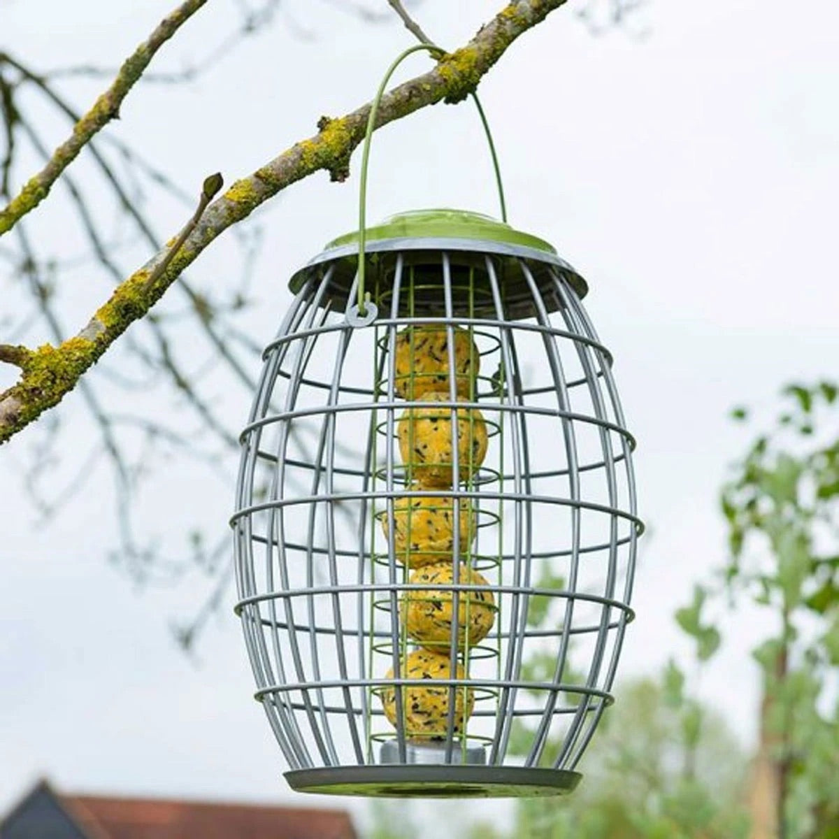 Chapel Wood Ultra Squirrel Proof Suet Ball Bird Feeder 34cm