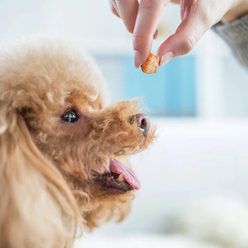 Zoon Yak Popcorn Cheesy Chews for Dogs various flavours